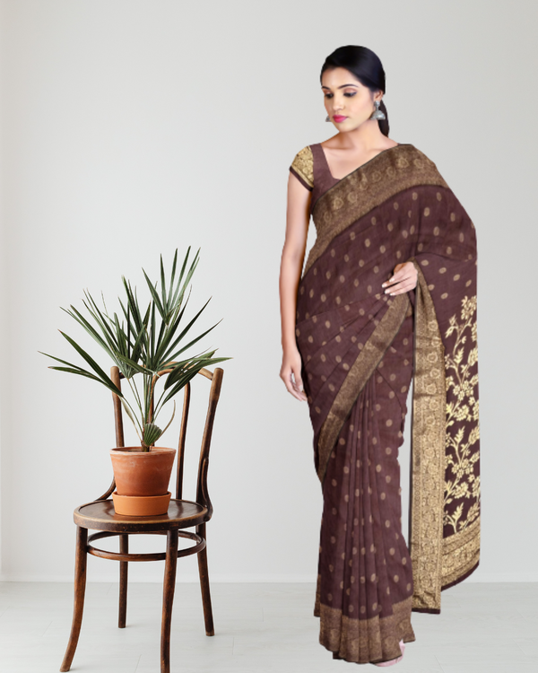 Coffee Color Raw Silk Saree for Women - Front View of Saree